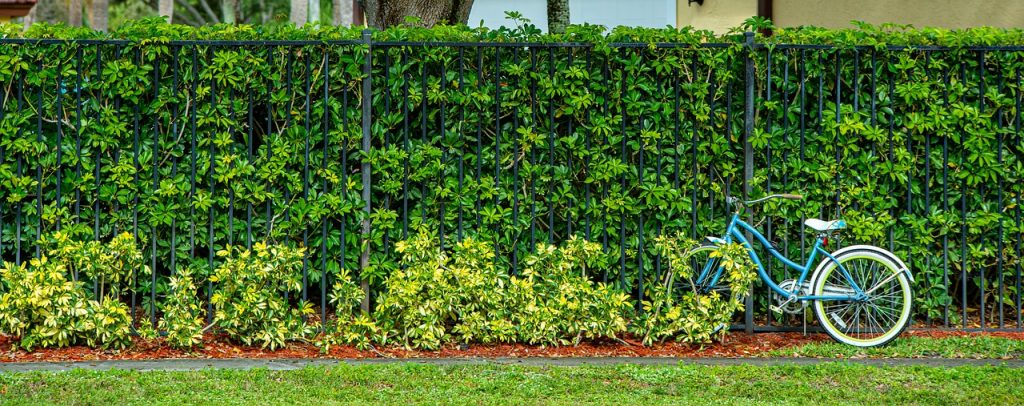 bicycle, fence, hedge-4804253.jpg