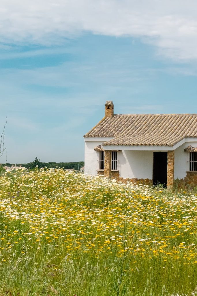 Waarom koop je een woning in de provincie Castellon?